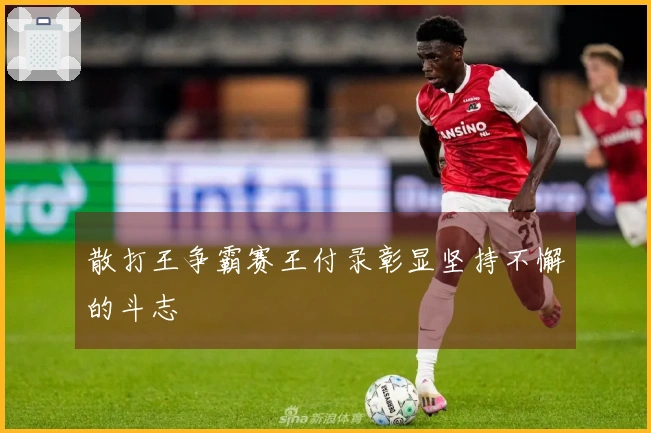 散打王争霸赛王付录彰显坚持不懈的斗志