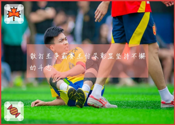 散打王争霸赛王付录彰显坚持不懈的斗志